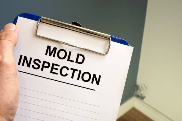 Best Air Quality Testing for Mold Spores  in White Oak, TX